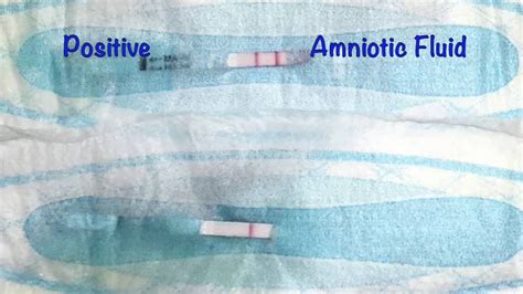 how do you know if your leaking amniotic fluid|Amniotic Fluid: Color, Smell, Function & Disorders